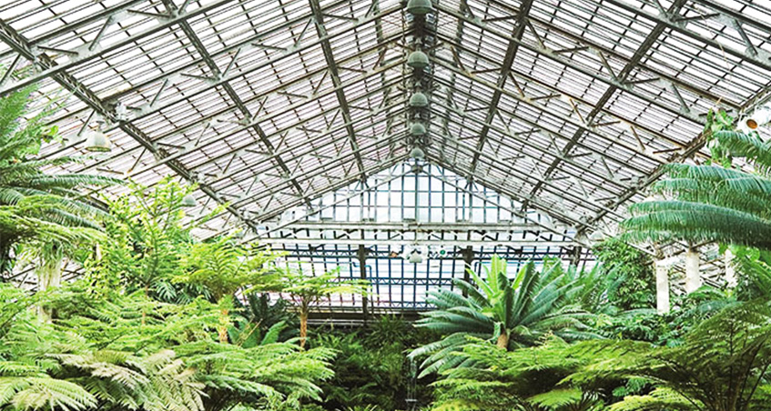 綠世界農業科技兩萬平米育苗溫室陽光板